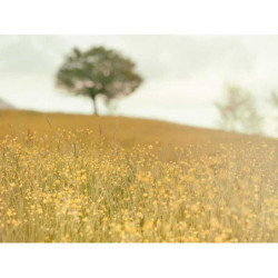 Rustic Cotton Watch fr-FR